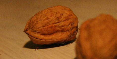 noix.jpg, oct 2008 noix.jpg